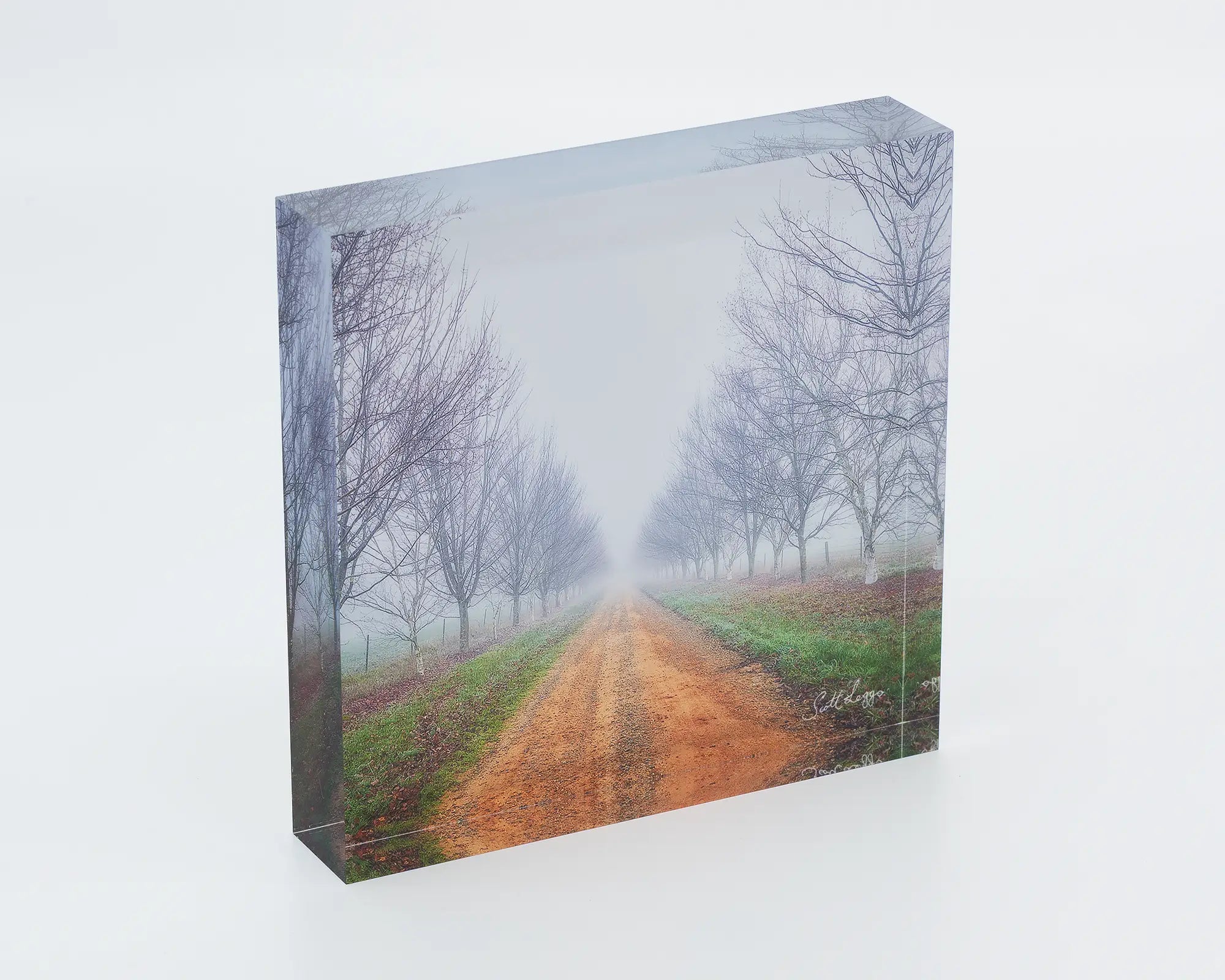 Down the Road acrylic block, country driveway in fog. 