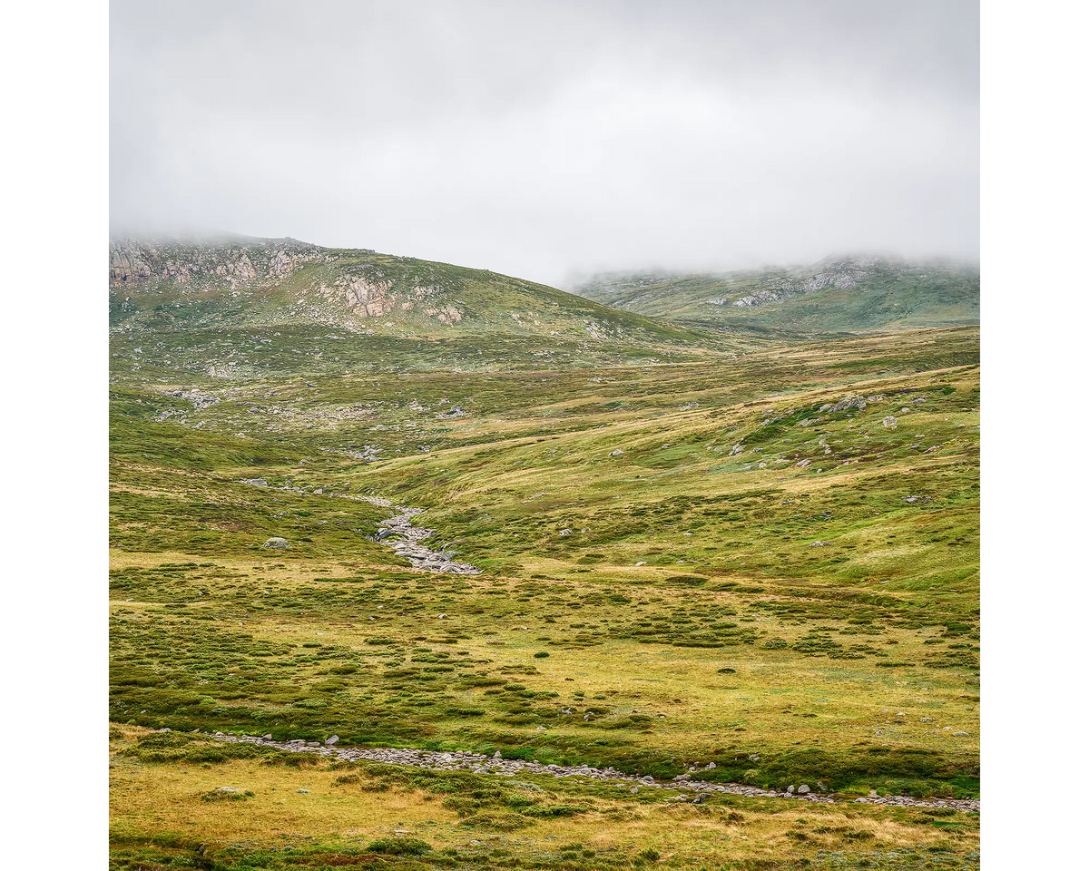 Fog and rolling green hills surrounding the Snowy River, Kosciuszko National Park, NSW. 
