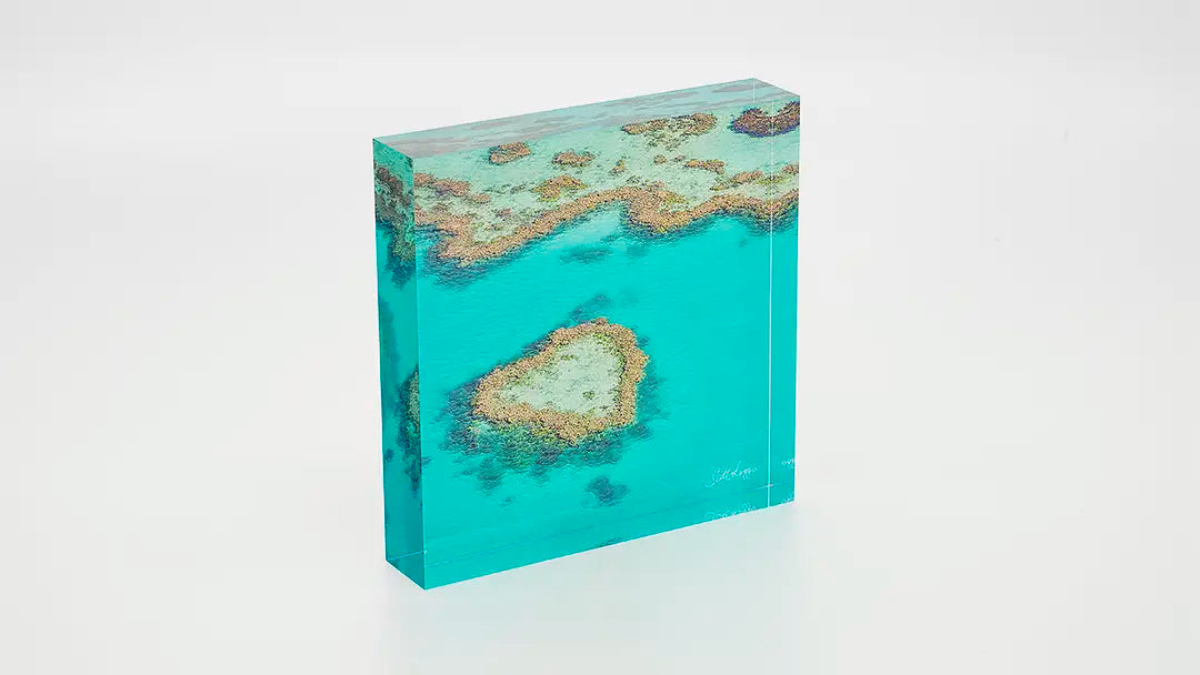 Far North Queensland acrylic block collection. Australian Artwork.