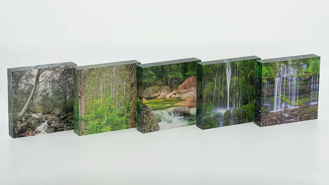 Forests acrylic block collection. Australian Artwork.