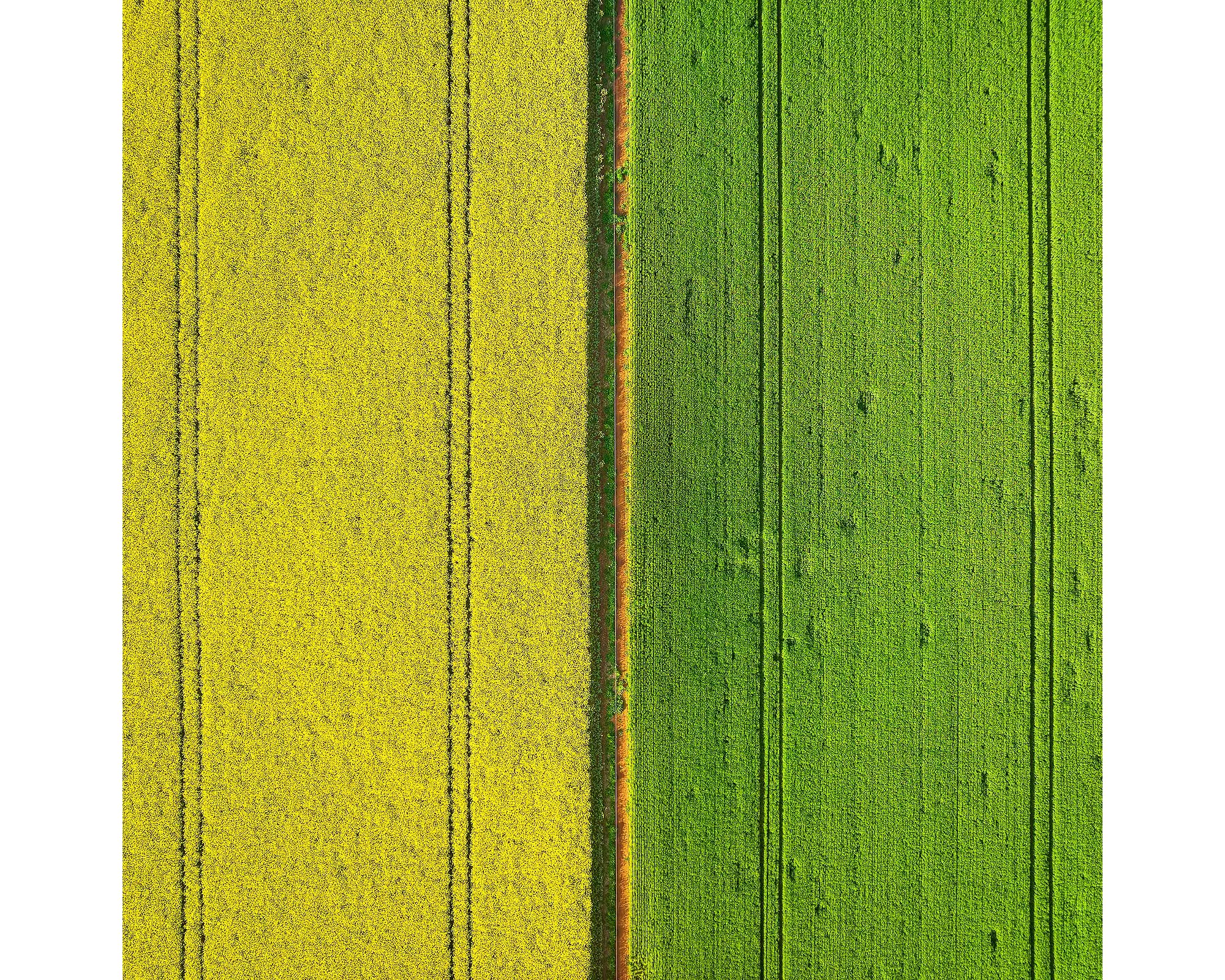 Aerial view of fields in Coolamon Shire, NSW. 