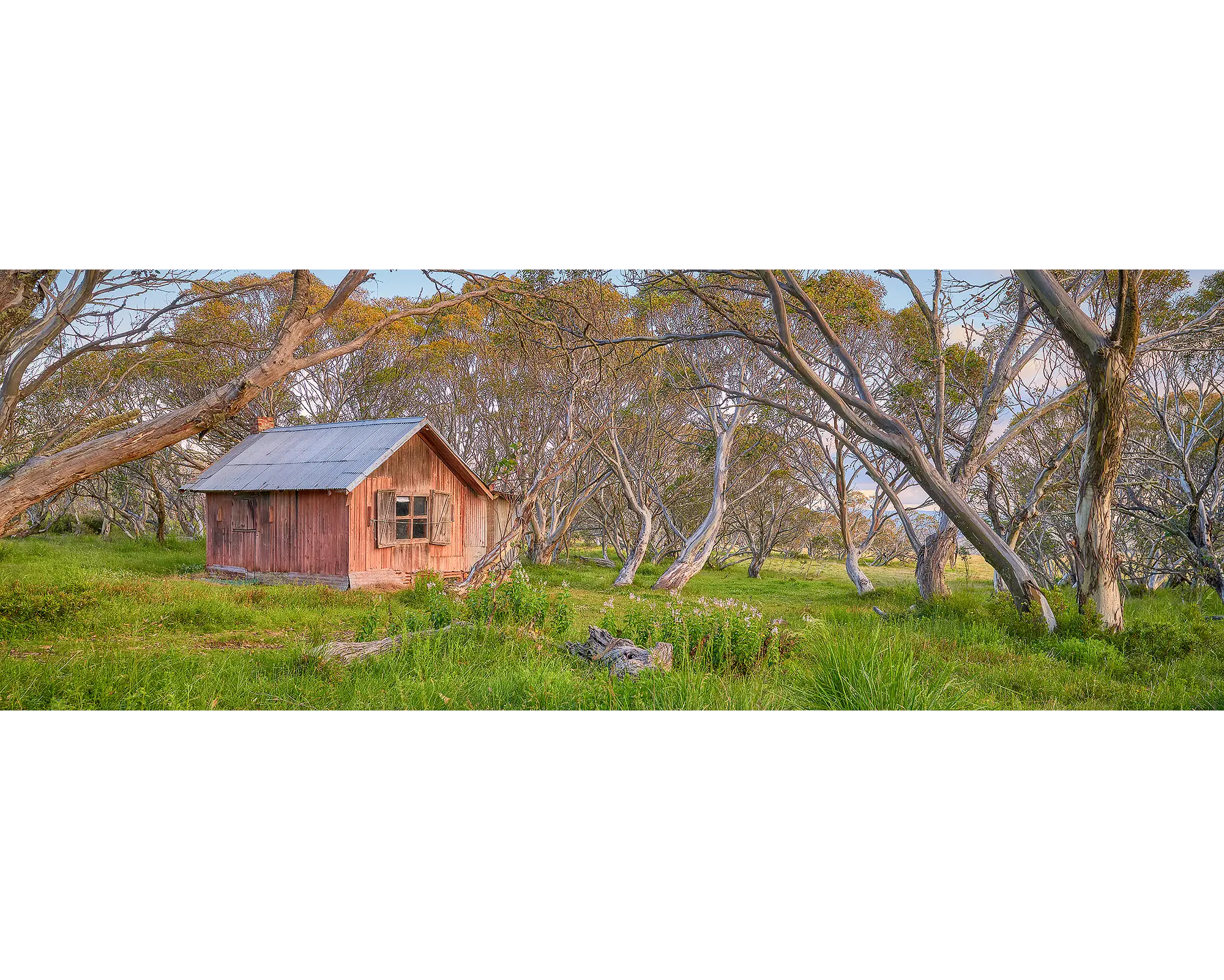JB Hut at surrounded by snow gums at Dinner Plain, Alpine National Park.