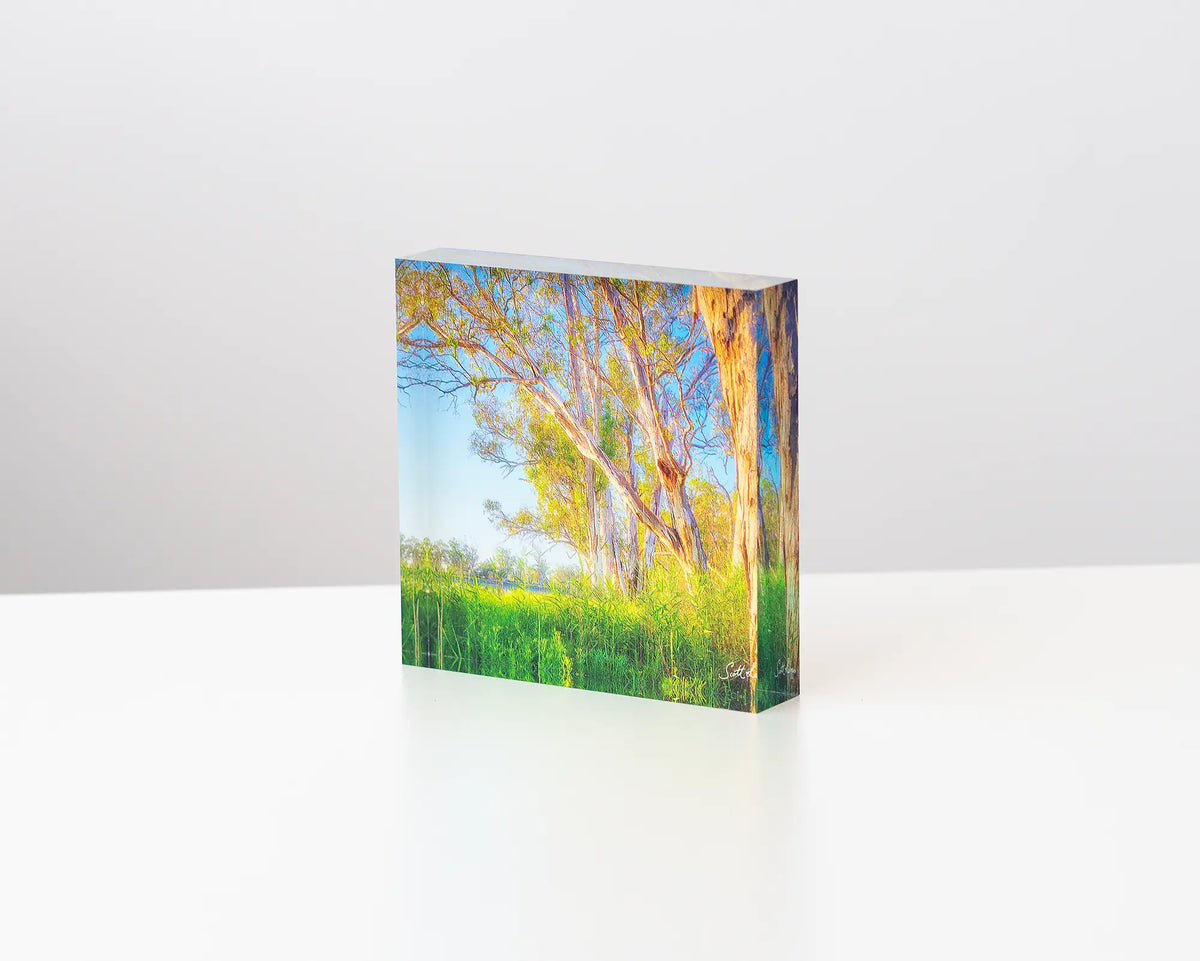 Leaning In acrylic block displayed on a desk. 