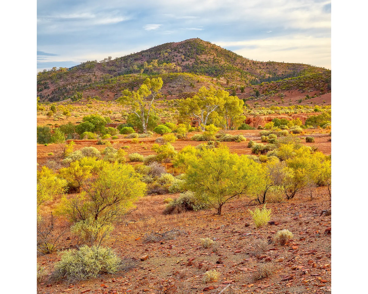 Lost In Time. ABC Range and Aroona Vallery, Flinders Ranges, South Australia.