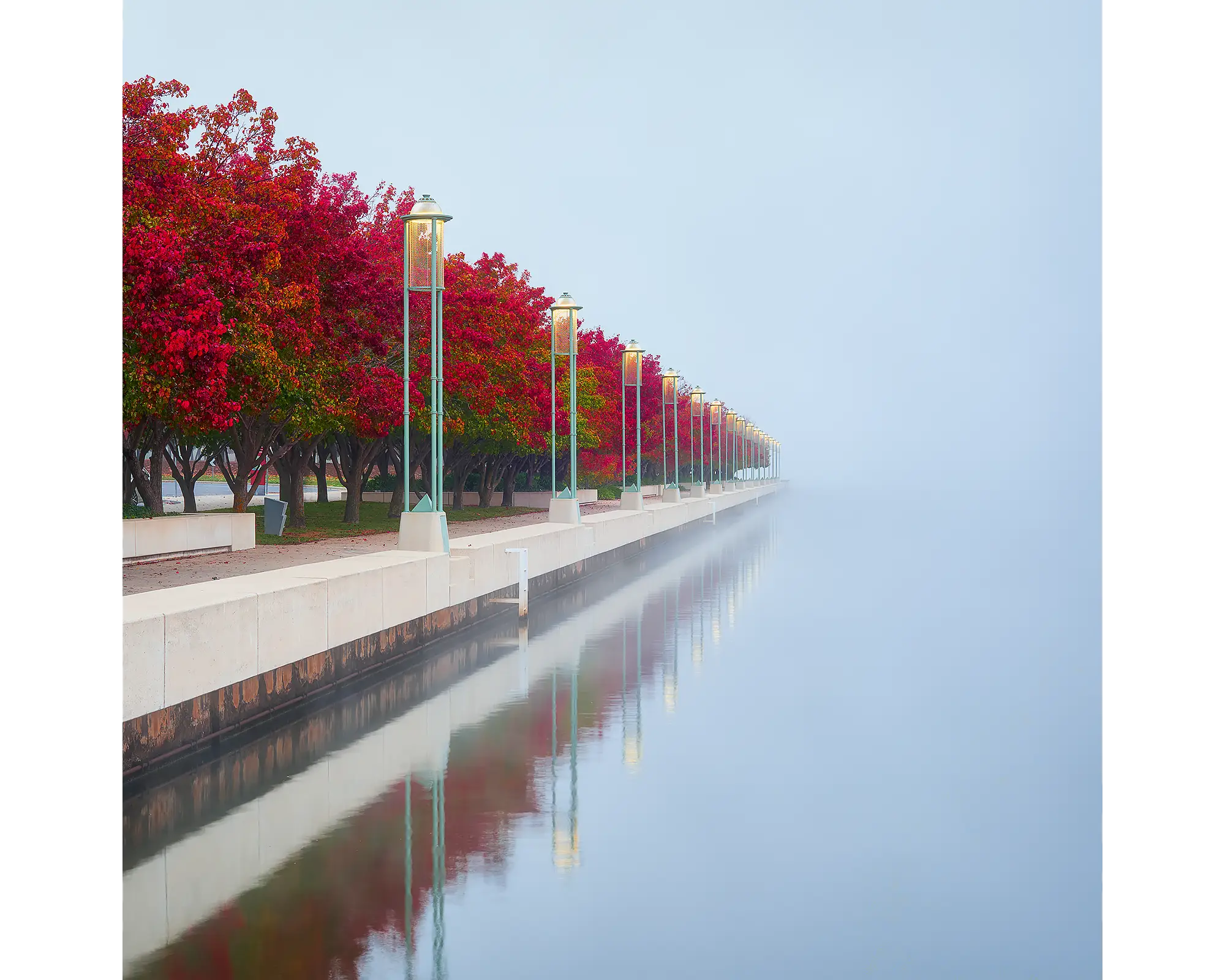 Red Serenity. Red autumn trees in fog beside Lake BUrley Griffin, Canberra.
