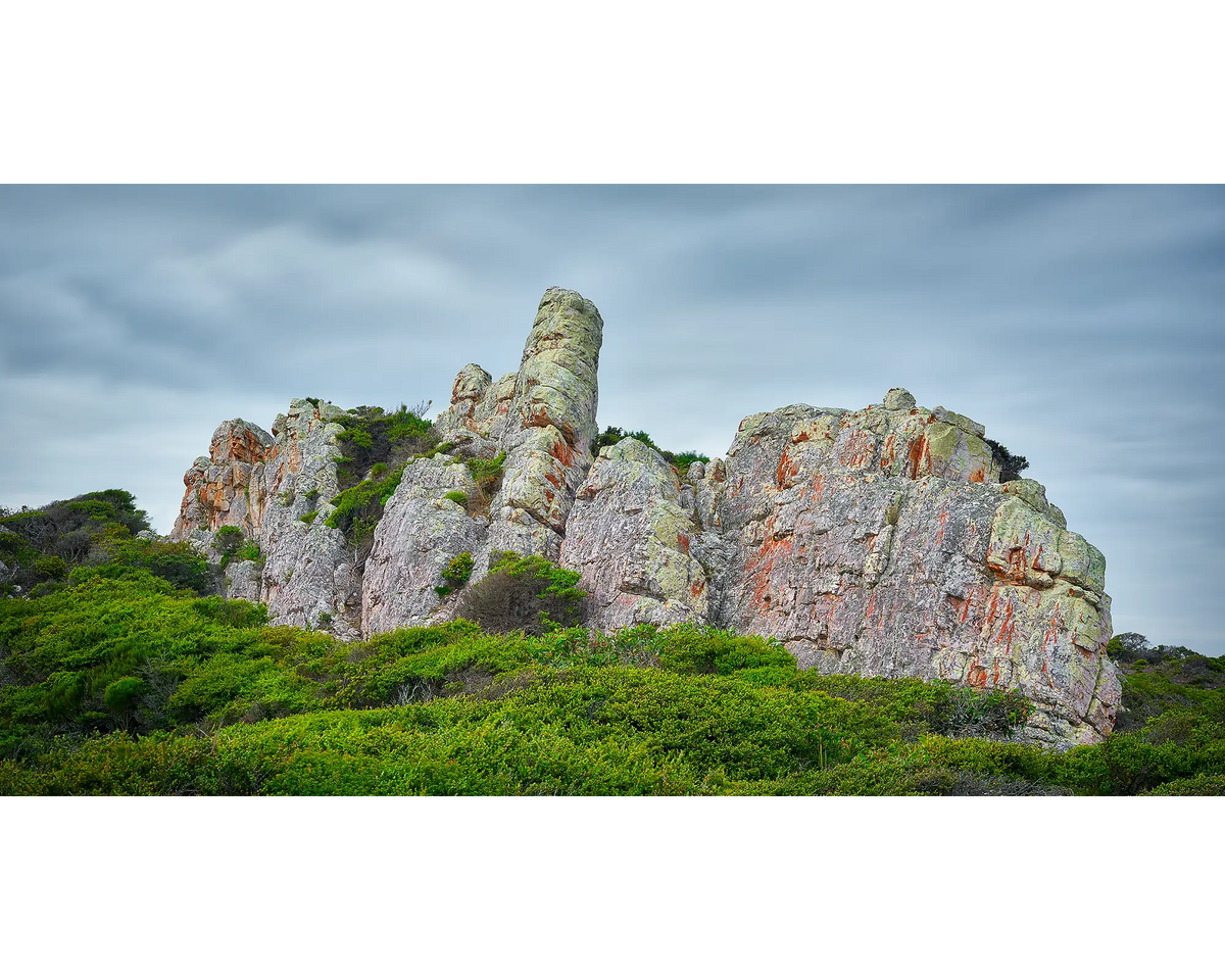 Rock Of The Tarkine - Arthur Pieman Conservation Area, Tasmania, Australia.