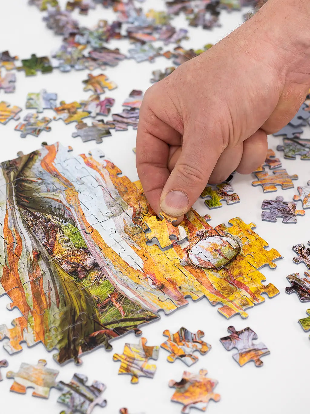 Making a Scott Leggo jigsaw puzzle