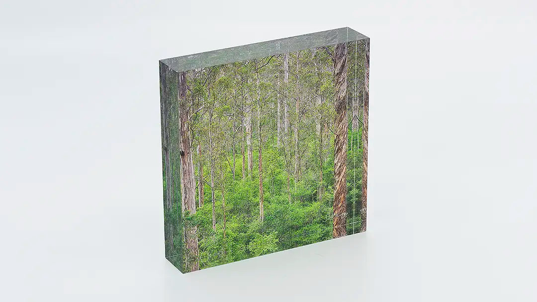 South West Western Australia acrylic block collection. Australian Artwork.