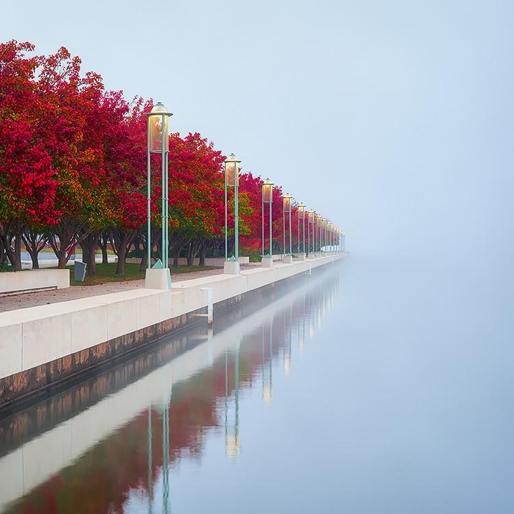 Red Serenity - Red autumn colours Lake Burley Griffin Canberra
