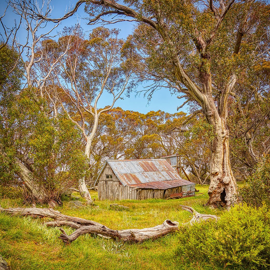 Summer In The High Country - Wallace Hut, Alpine National Park