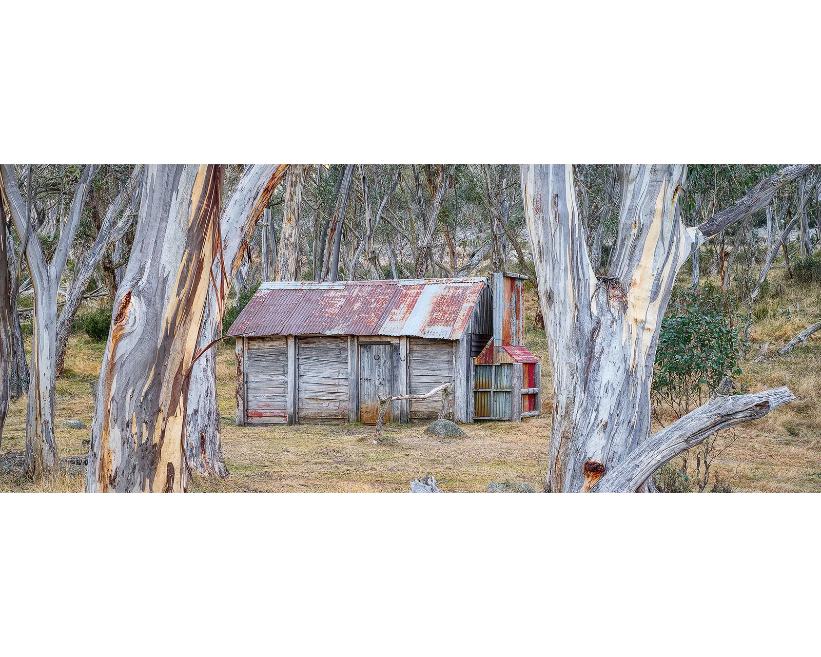 Abode Among the Gum Trees. Cascade Hut, Kosciuszko National Park, New South Wales.
