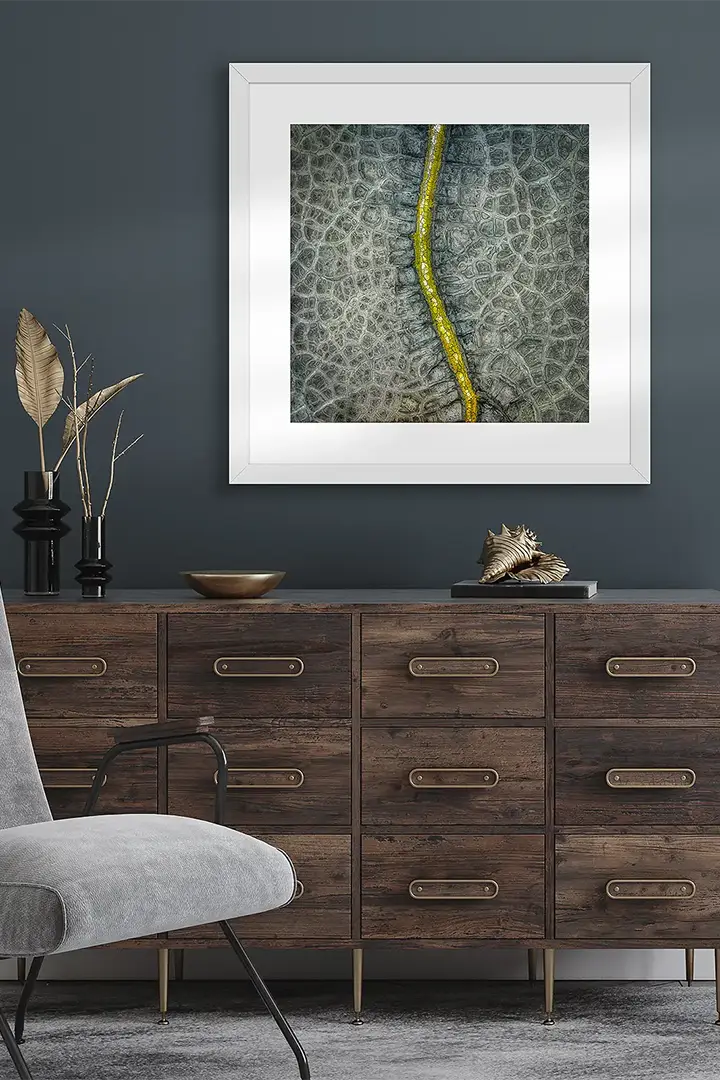 Abstract wall art print collection.