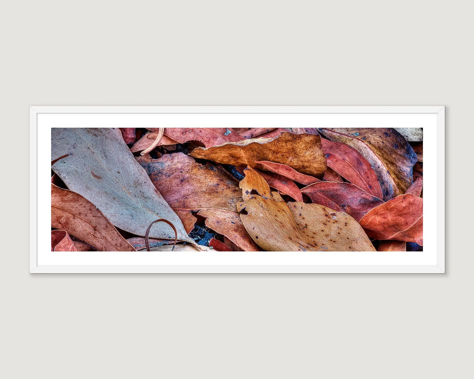 Framed photographic abstract image of singed autumn leaves after fires in the Victorian Alps. 