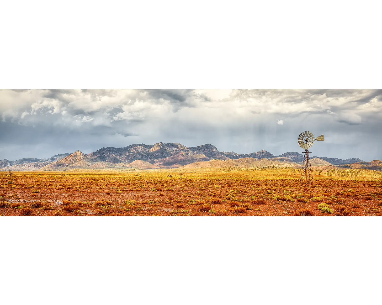 After the Rain. Windmill, Flinders Ranges, South Australia.