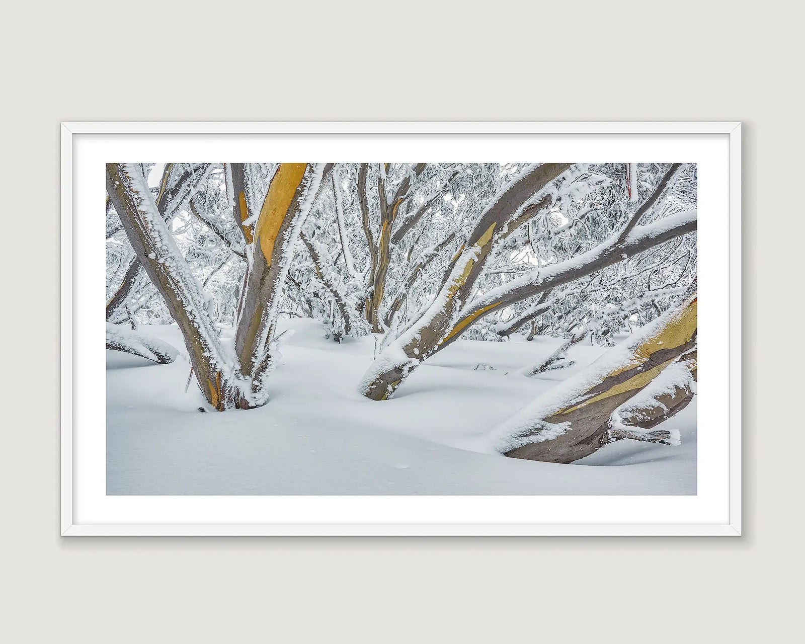 Framed wall art print of snow gums covered in ice in heavy snow on Mount Hotham. 
