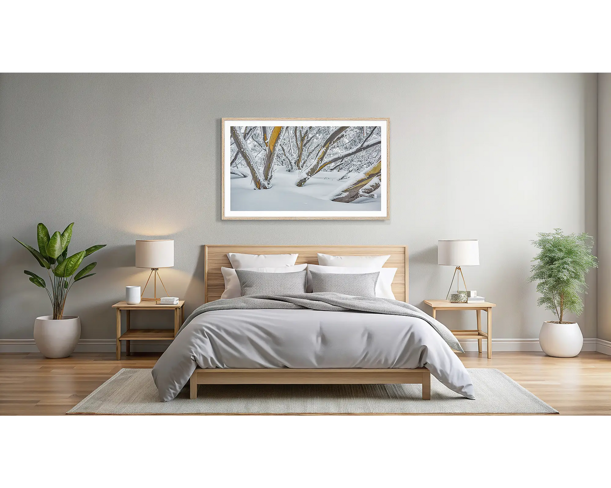 After the Storm. Wall art print of snow gums on Mount Hotham, covered in snow, framed with a Tasmanian Oak frame, and hung in a light filled bedroom. 