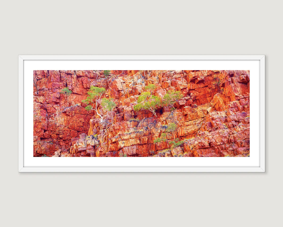 Framed photograph of Ormiston Gorge red rock formation with ghost gum trees, growing from the side of the rocks. 