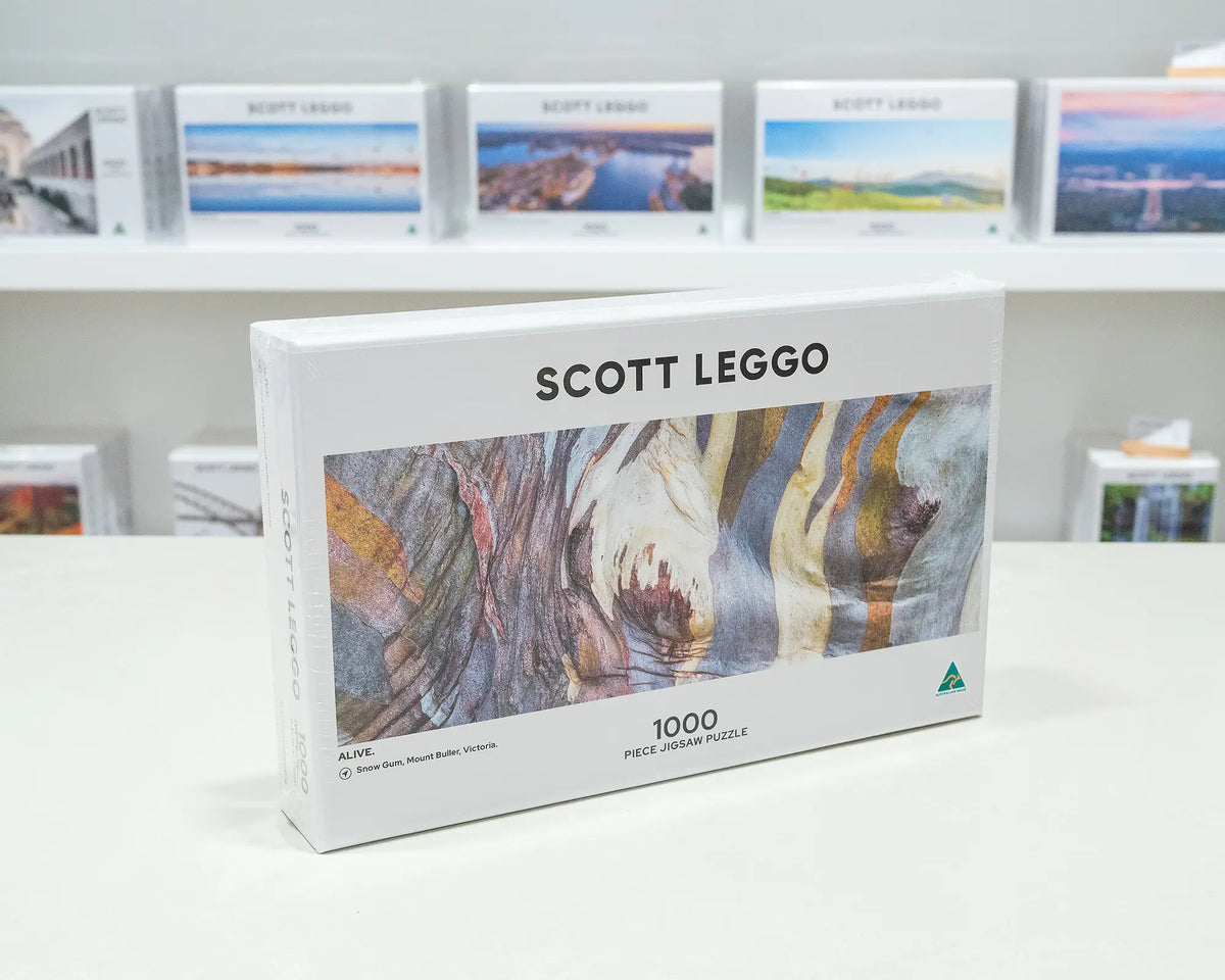 Alive. 1000 piece abstract jigsaw puzzle on gallery desk with jigsaw puzzles in background.