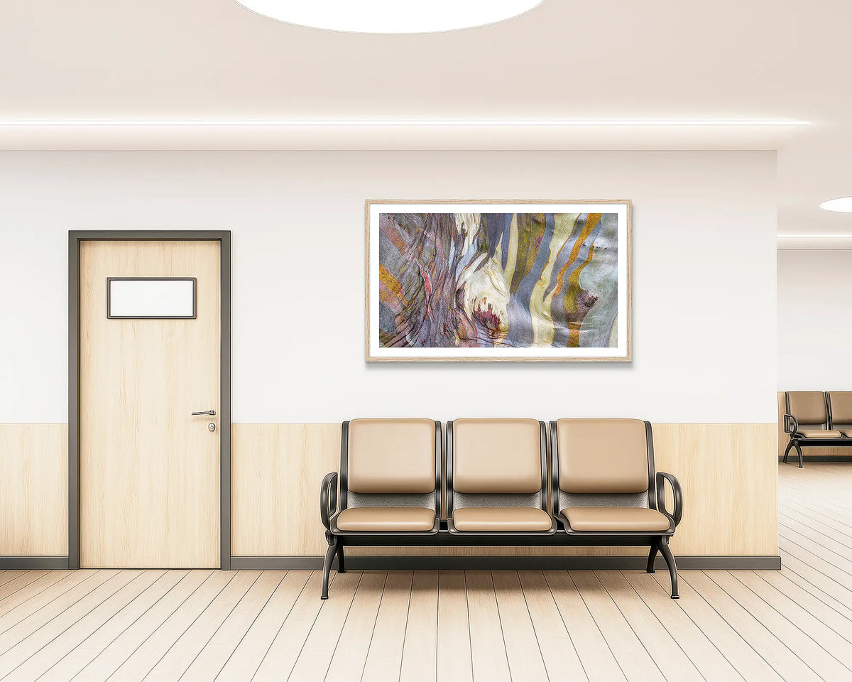 Alive. Abstract snow gum wall art print with a timber frame, hung in a medical waiting area. 