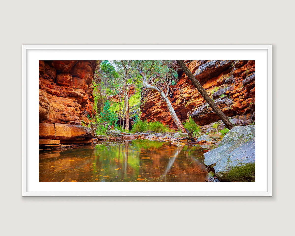 Photographic wall art print of gum trees and rock reflection in the creek at Alligator Gorge, Flinders Ranges. 