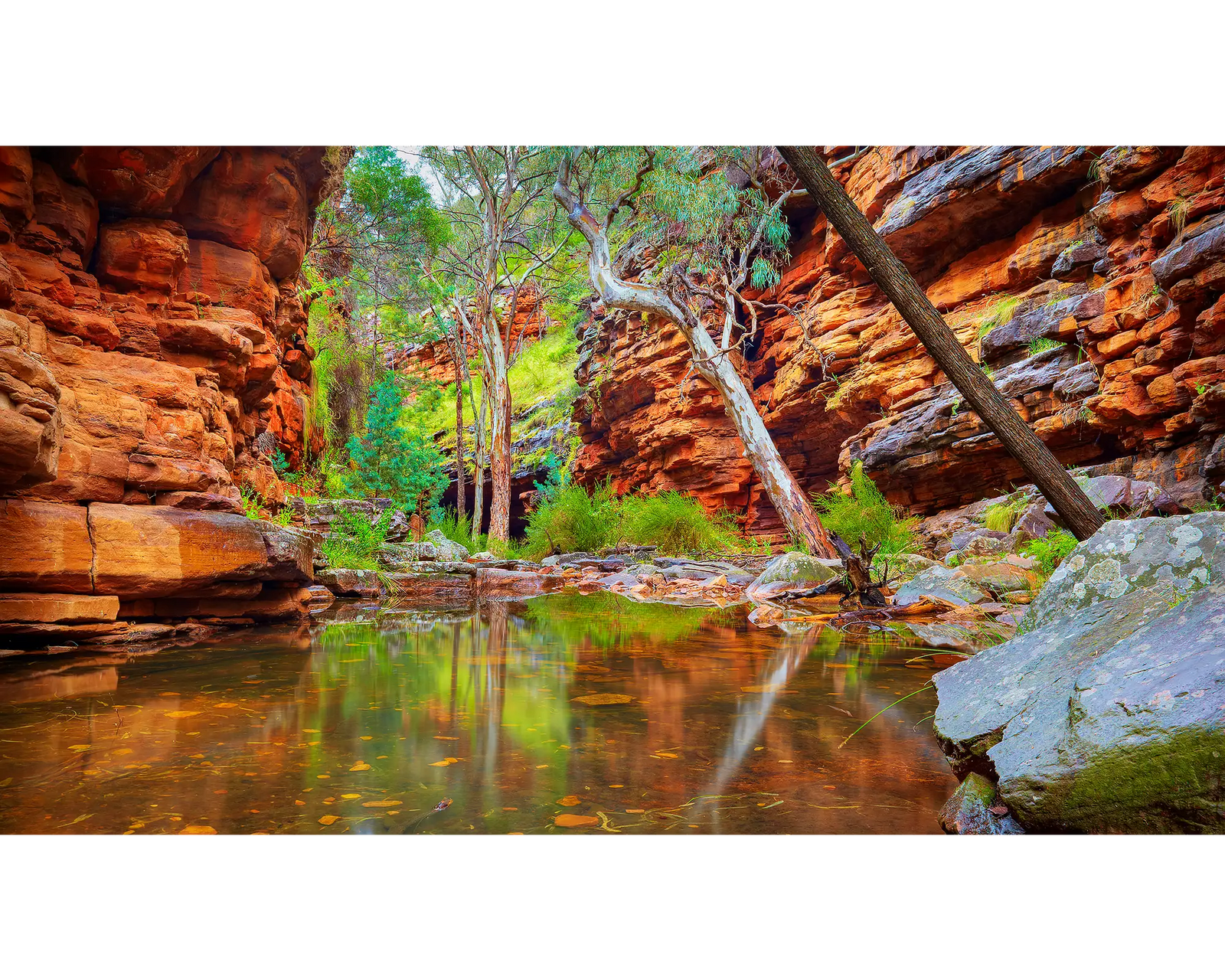 Alligator Gorge. Water reflections, Flinders Ranges, South Australia.