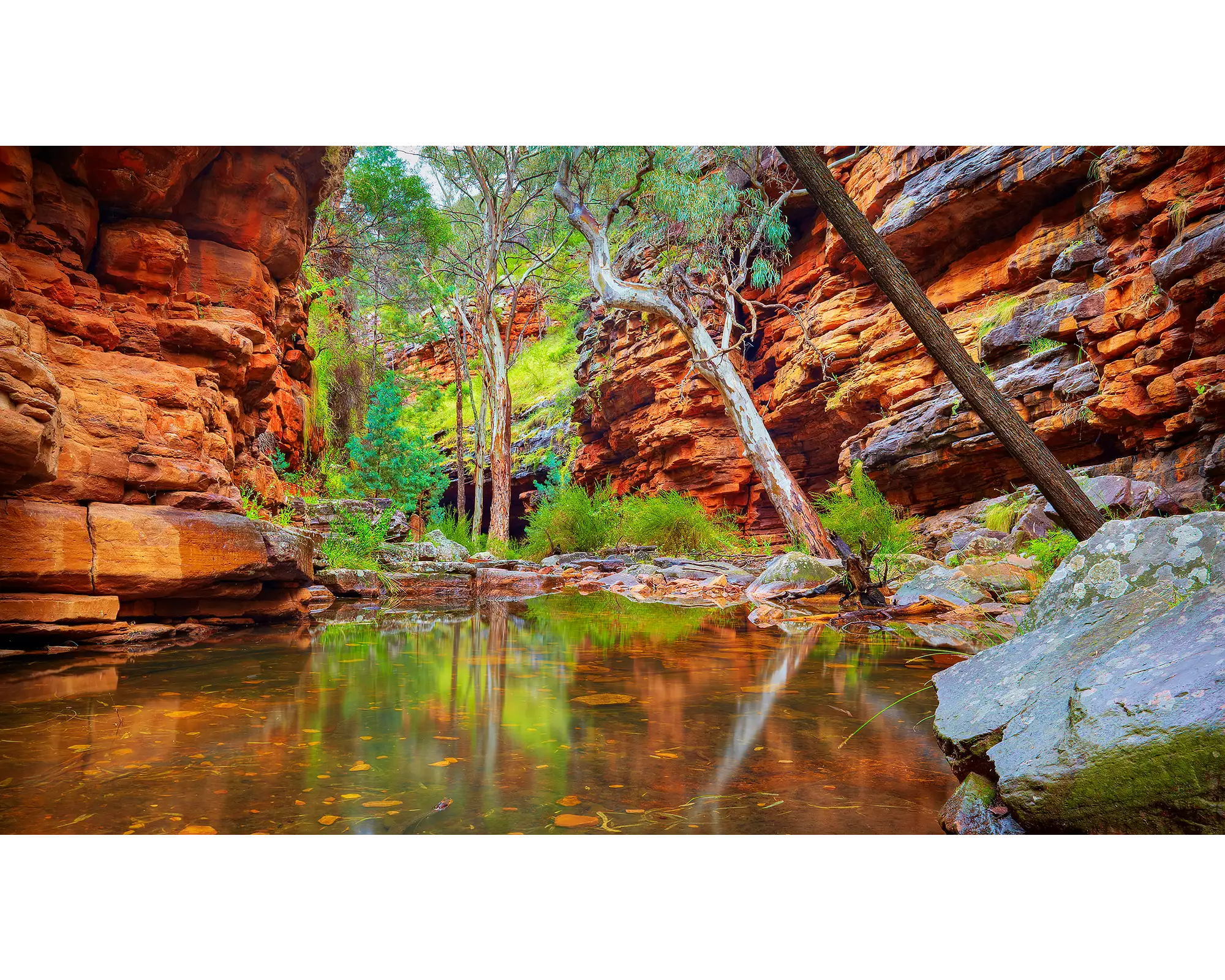 Alligator Gorge - water reflections, Flinders Ranges, South Australia.