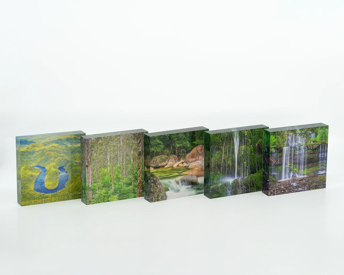 Aloft - Acrylic Block - Karri forest trees artwork sitting on desk with other green coloured acrylic blocks.