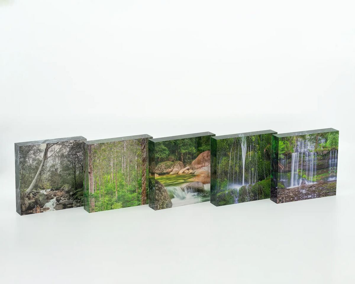 Aloft - Acrylic block - Karri forest trees artwork sitting on desk with various green coloured acrylic blocks.