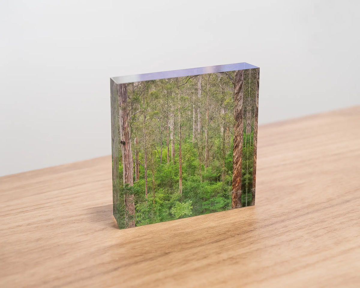 Aloft. Acrylic block of Karri Forest trees, styled on a wooden desk.