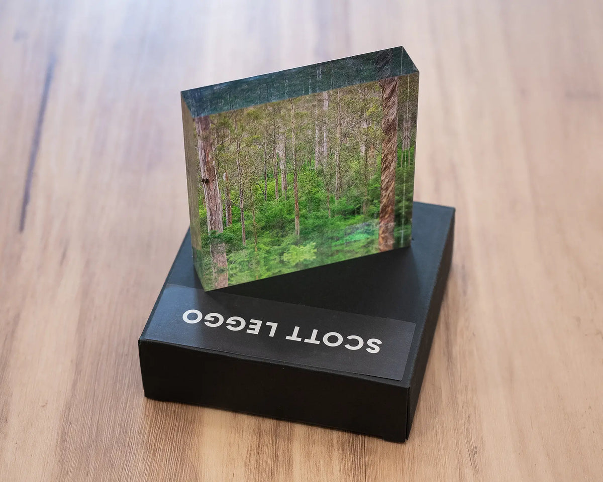 Aloft. Acrylic block of Karri Forest trees, Western Australia, styled on a gift box.