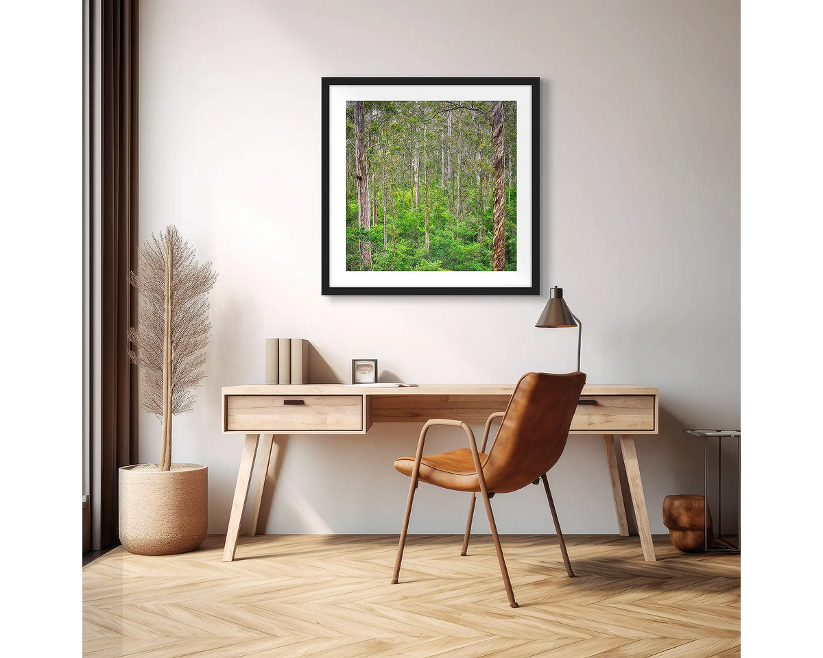 Aloft. Karri forest photographic wall art print with a black frame, hung above a scandi office desk. 