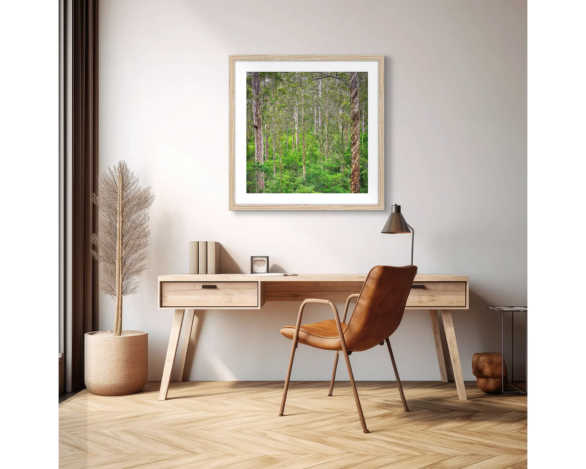 Aloft. Karri forest photographic wall art print with a Tassie Oak frame, hung above a scandi office desk. 