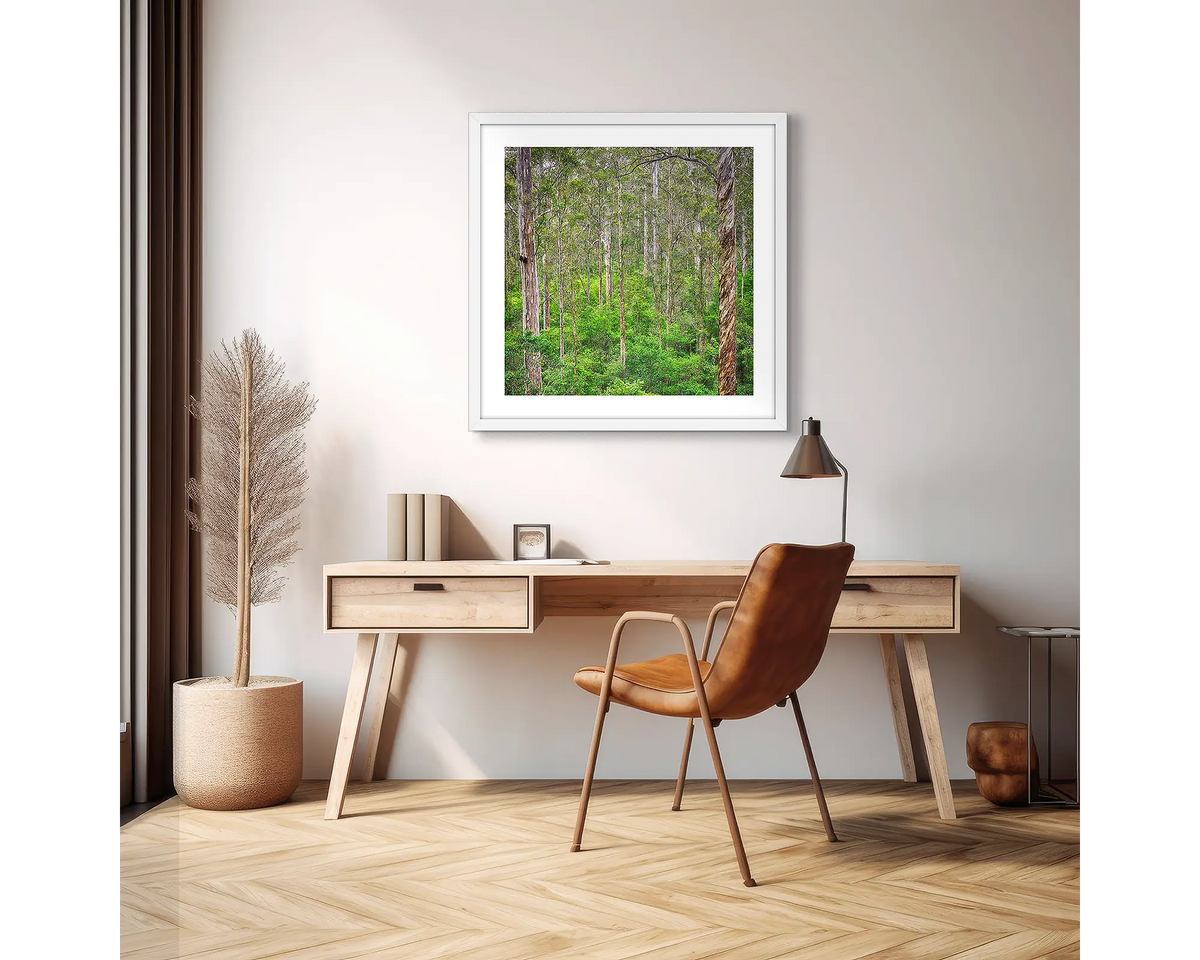 Aloft. Karri forest photographic wall art print with a white frame, hung above a scandi office desk. 