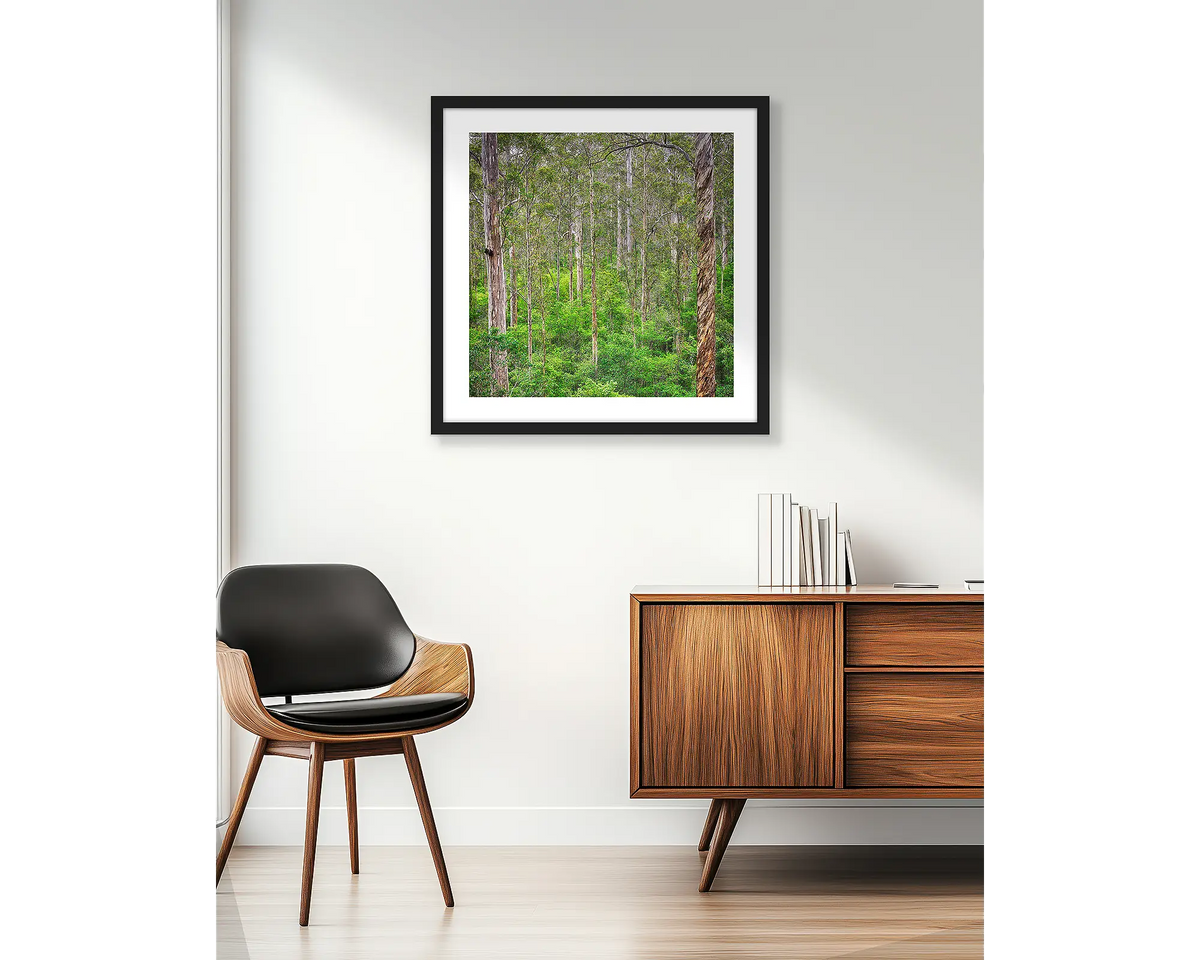 Aloft. Wall art print of a Karri forest, South West, W.A, framed in a black frame and hung beside an apartment window.