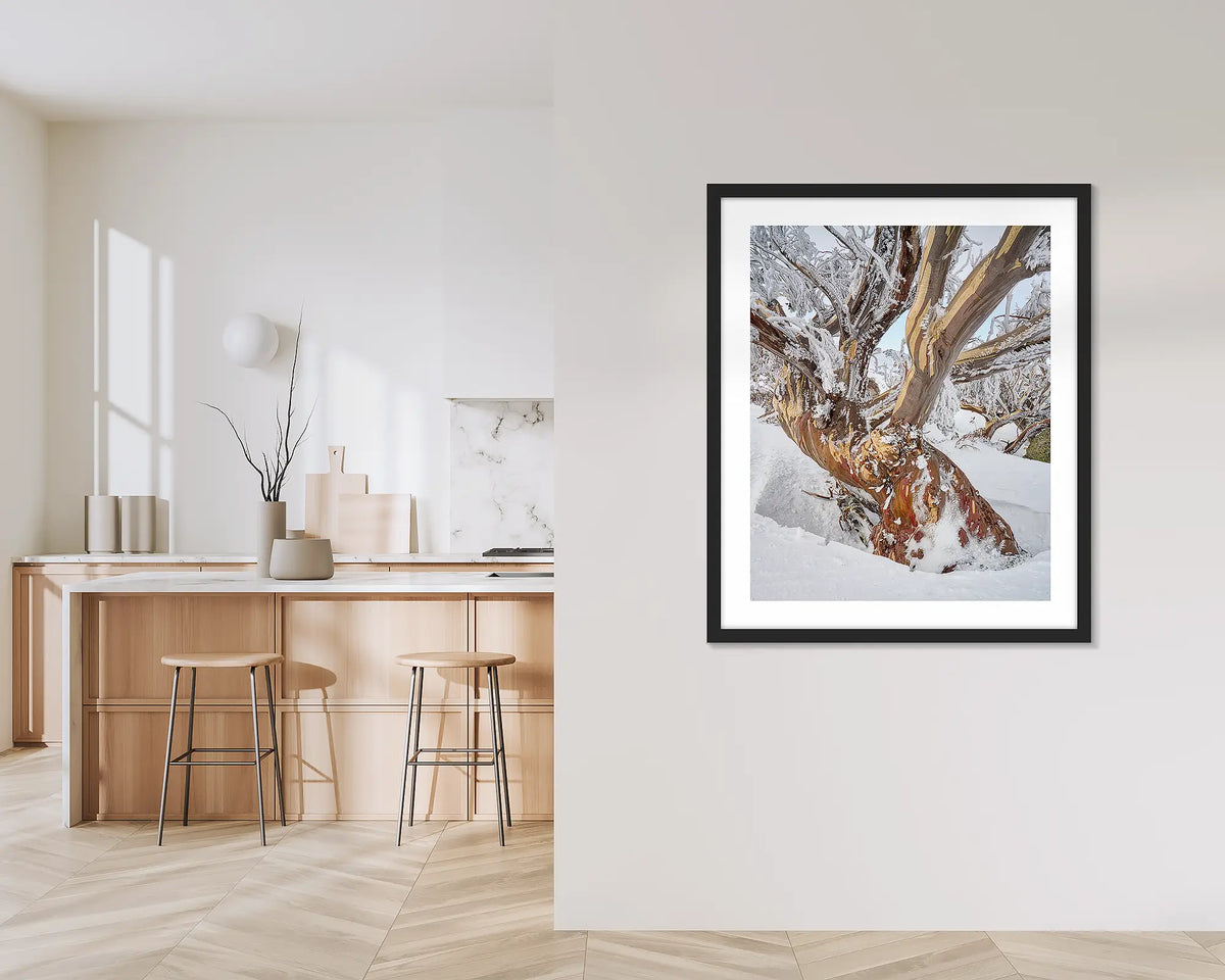 Alpine Legacy. Wall art print of an old snow gum with ice and snow, framed in a black frame and hung in a hallway outside a kitchen. 