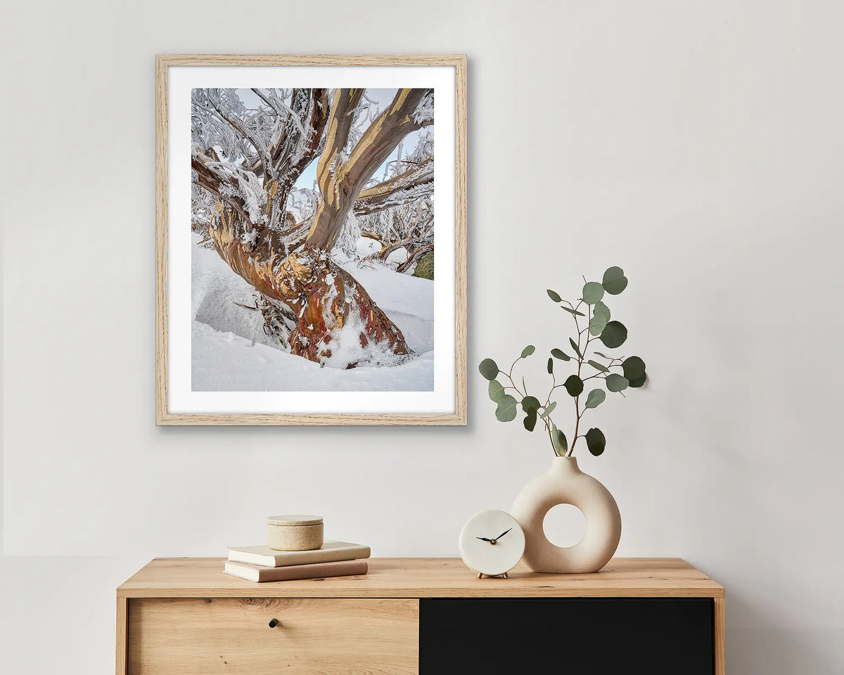 Alpine Legacy. Wall art print of an old snow gum with ice and snow, framed in a timber frame and hung above a small wooden side table. 
