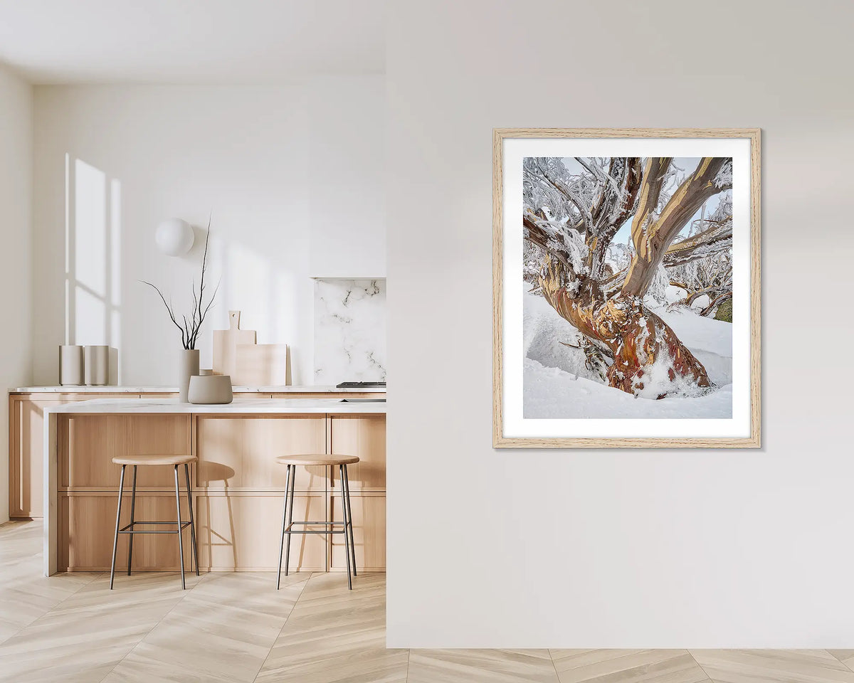 Alpine Legacy. Wall art print of an old snow gum with ice and snow, framed in a timber frame and hung in a hallway outside a kitchen. 