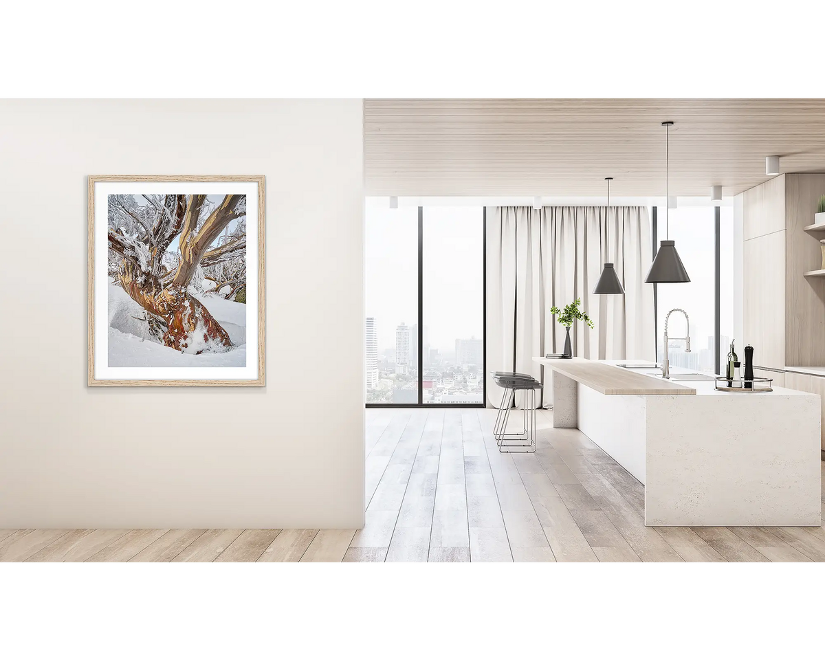 Alpine Legacy. Wall art print of an old snow gum with ice and snow, framed in a timber frame and hung outside a kitchen. 