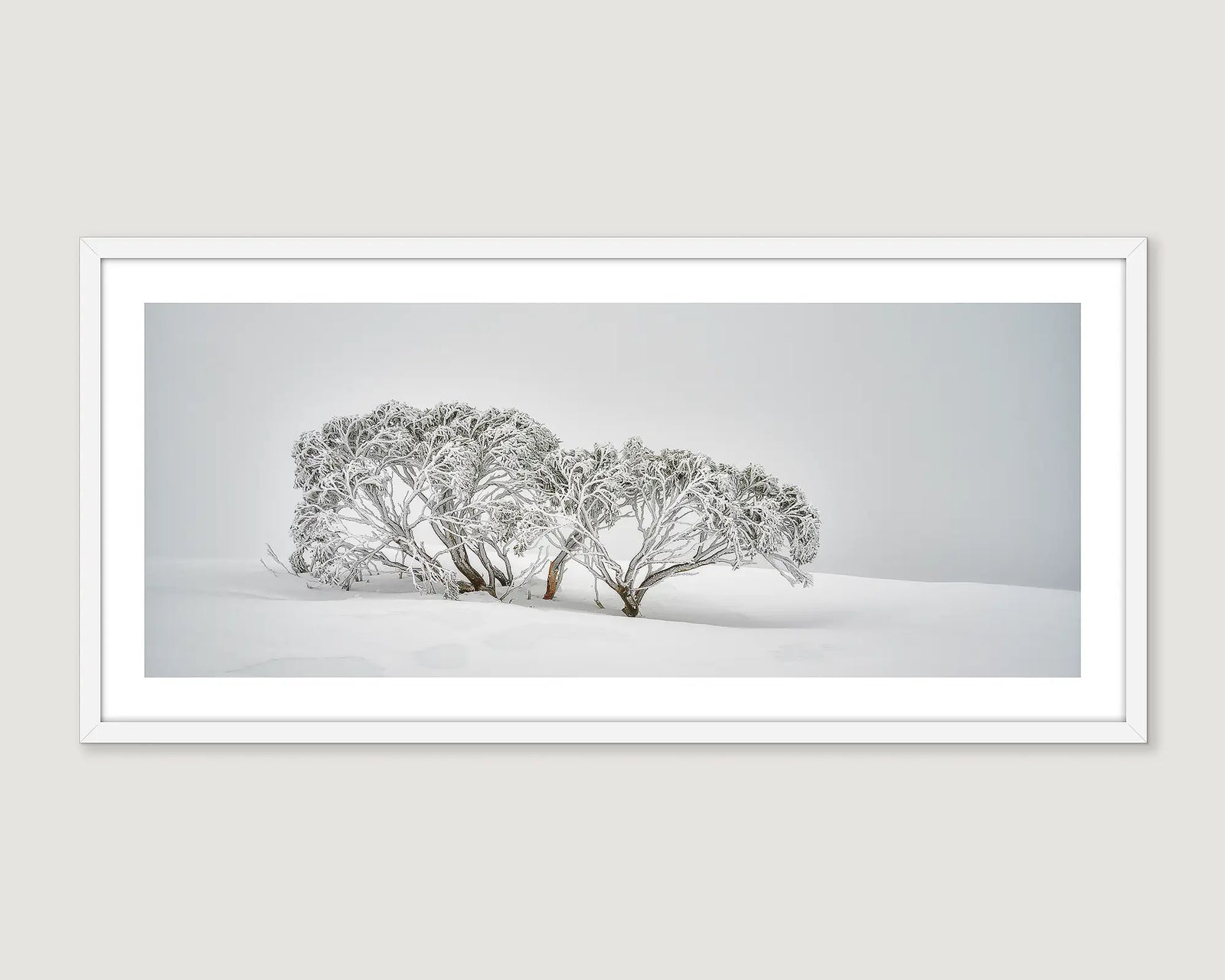 Framed wall art print of fresh snow and ice on snow gums on Mount Hotham. 