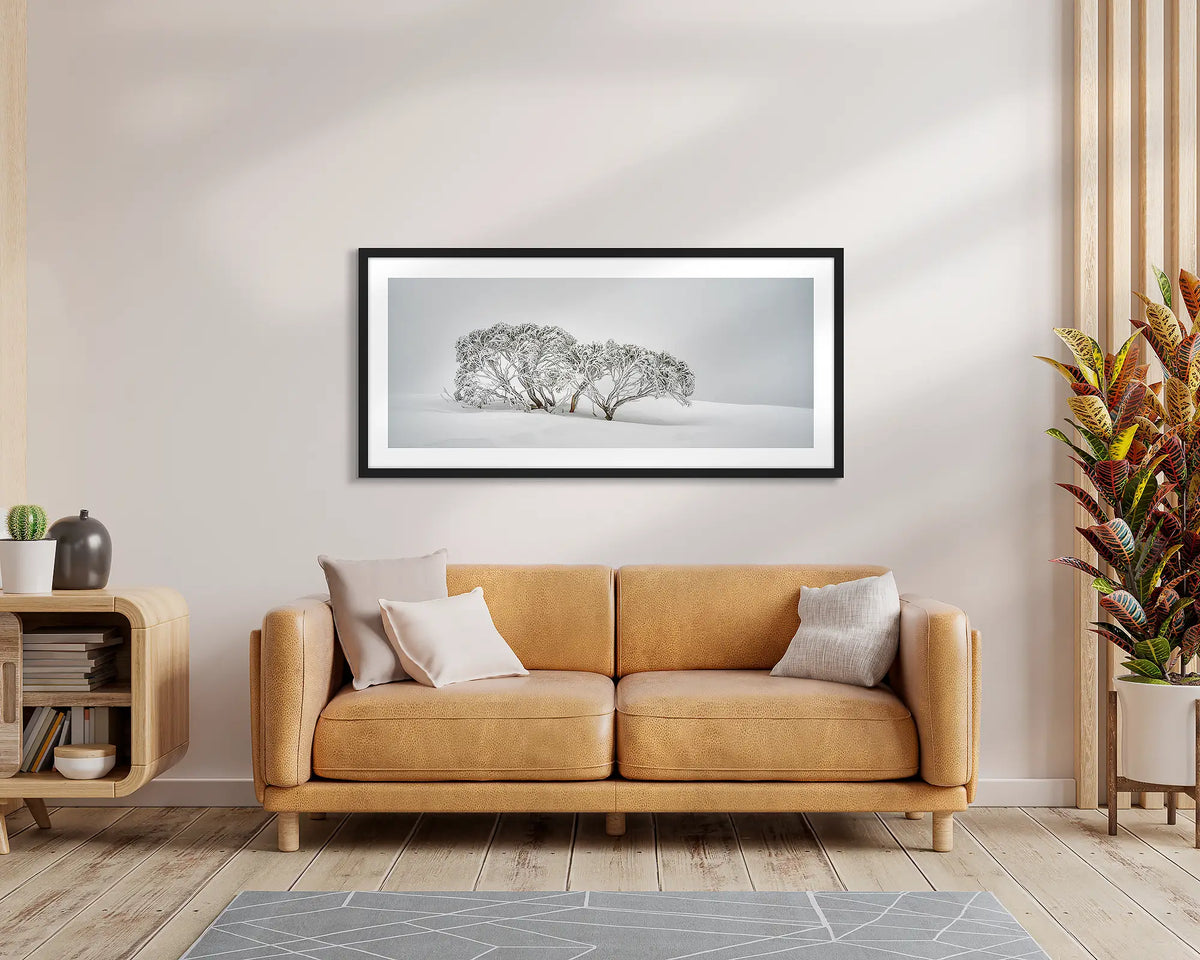 Alpine Spirit. Snow gum wall art print, with a black frame, hung above a leather couch. 
