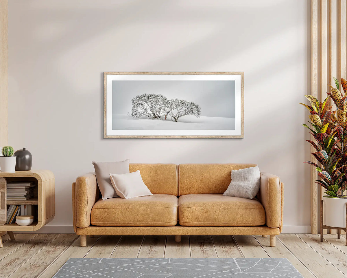 Alpine Spirit. Snow gum wall art print, with a timber frame, hung above a leather couch. 