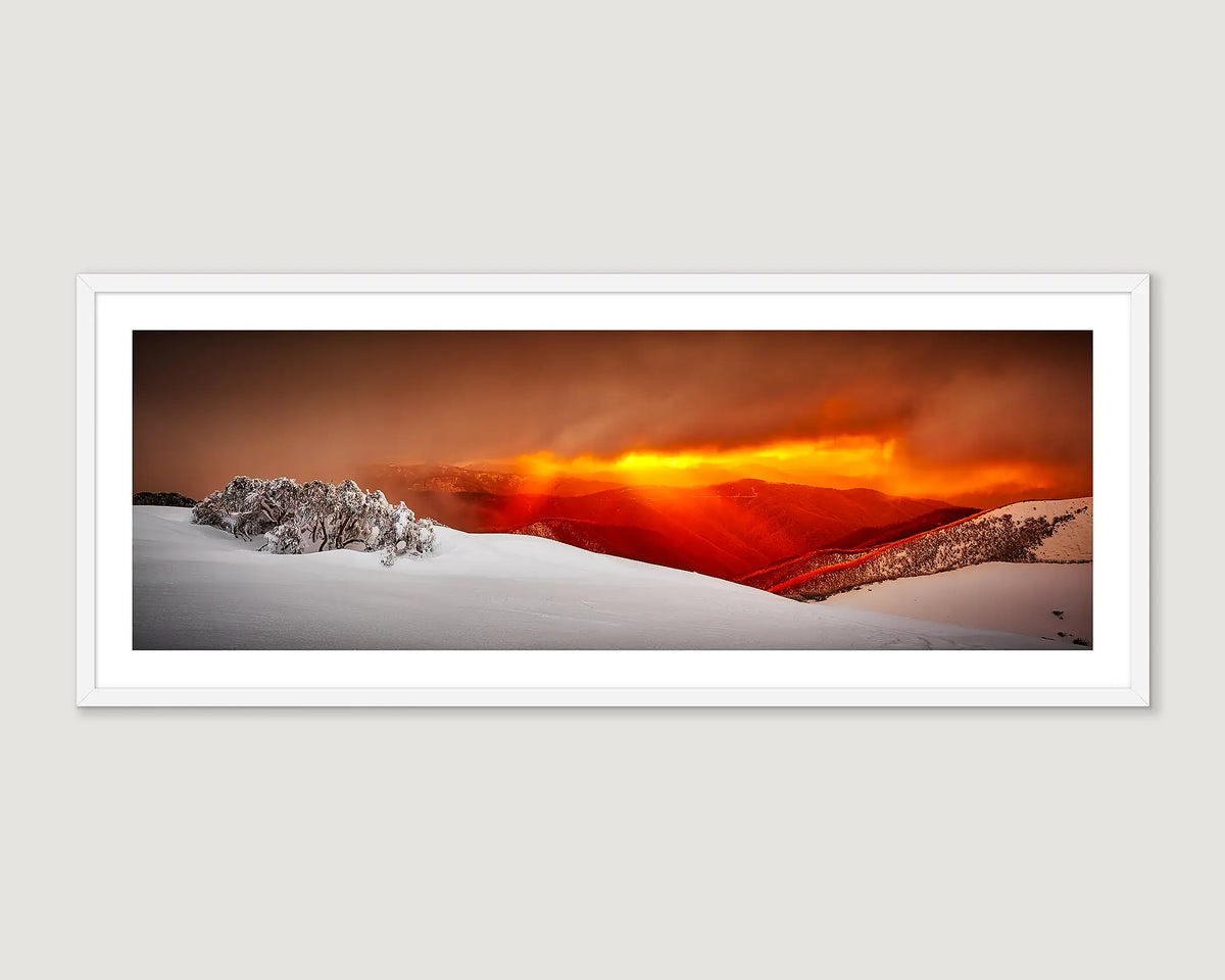 Framed photograph of a snow gum and a sunset on Mt Hotham.