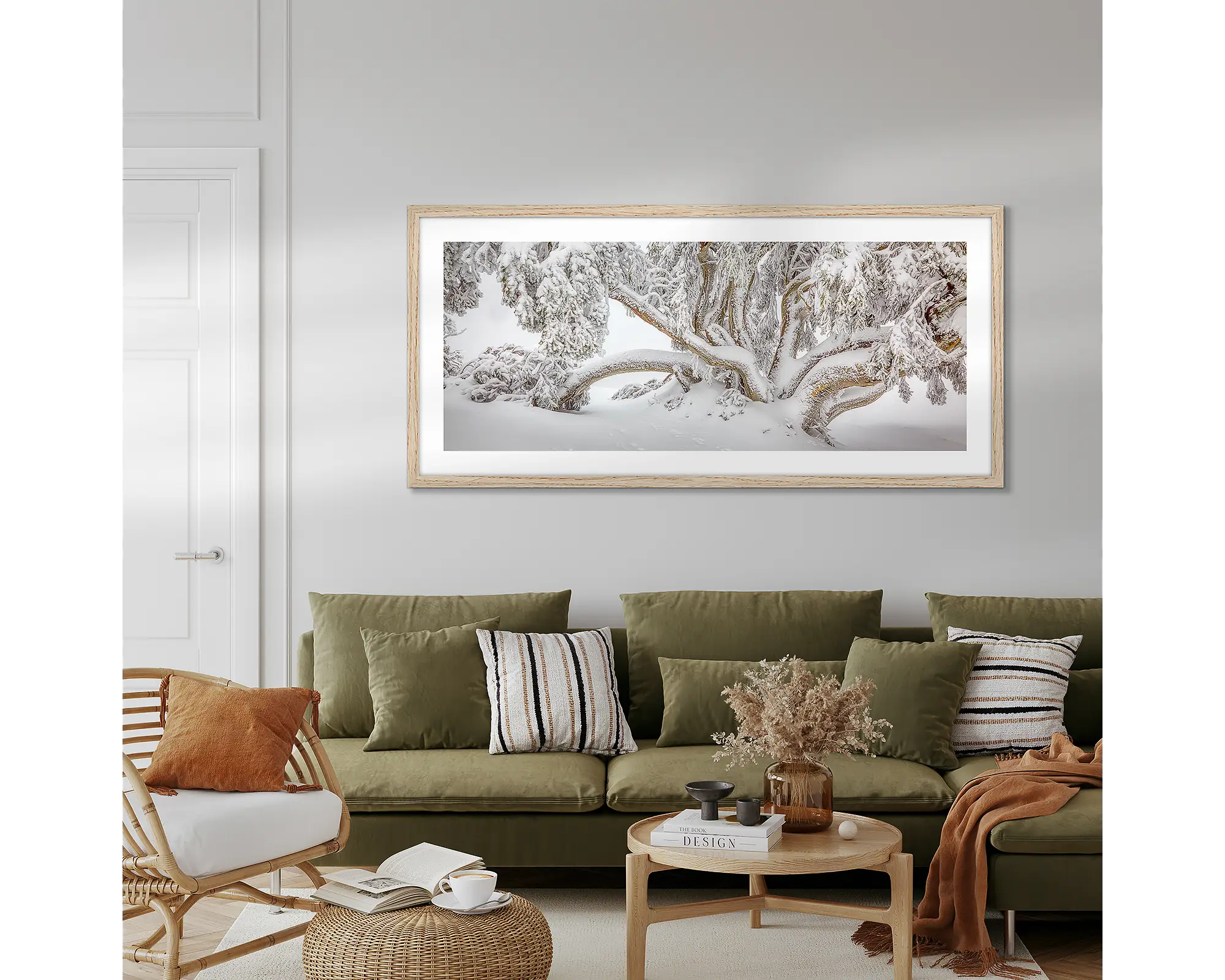 Alpine Survivor. Snow gum covered in snow, in the Alpine National Park, Victoria. 