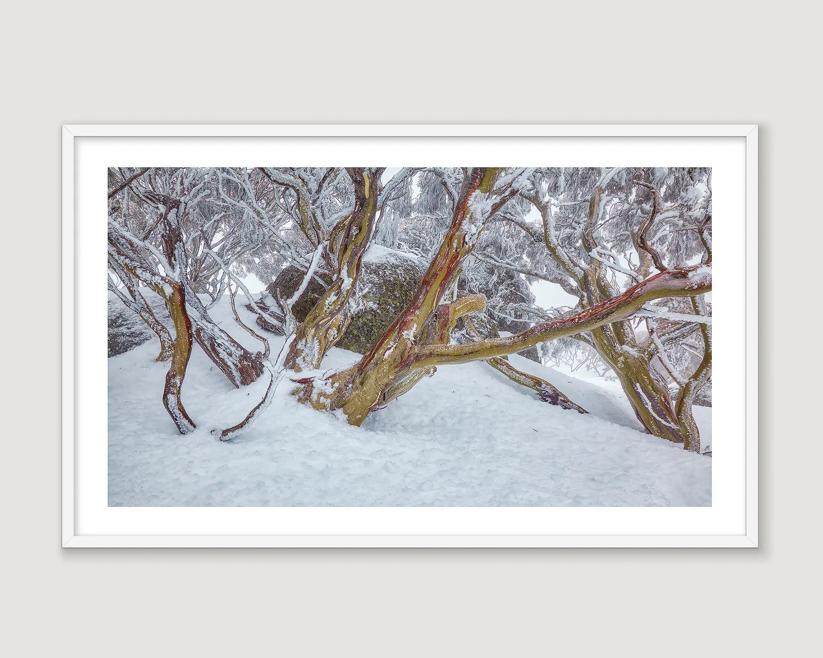 Framed photograph of snow gums in snow and snowfall.
