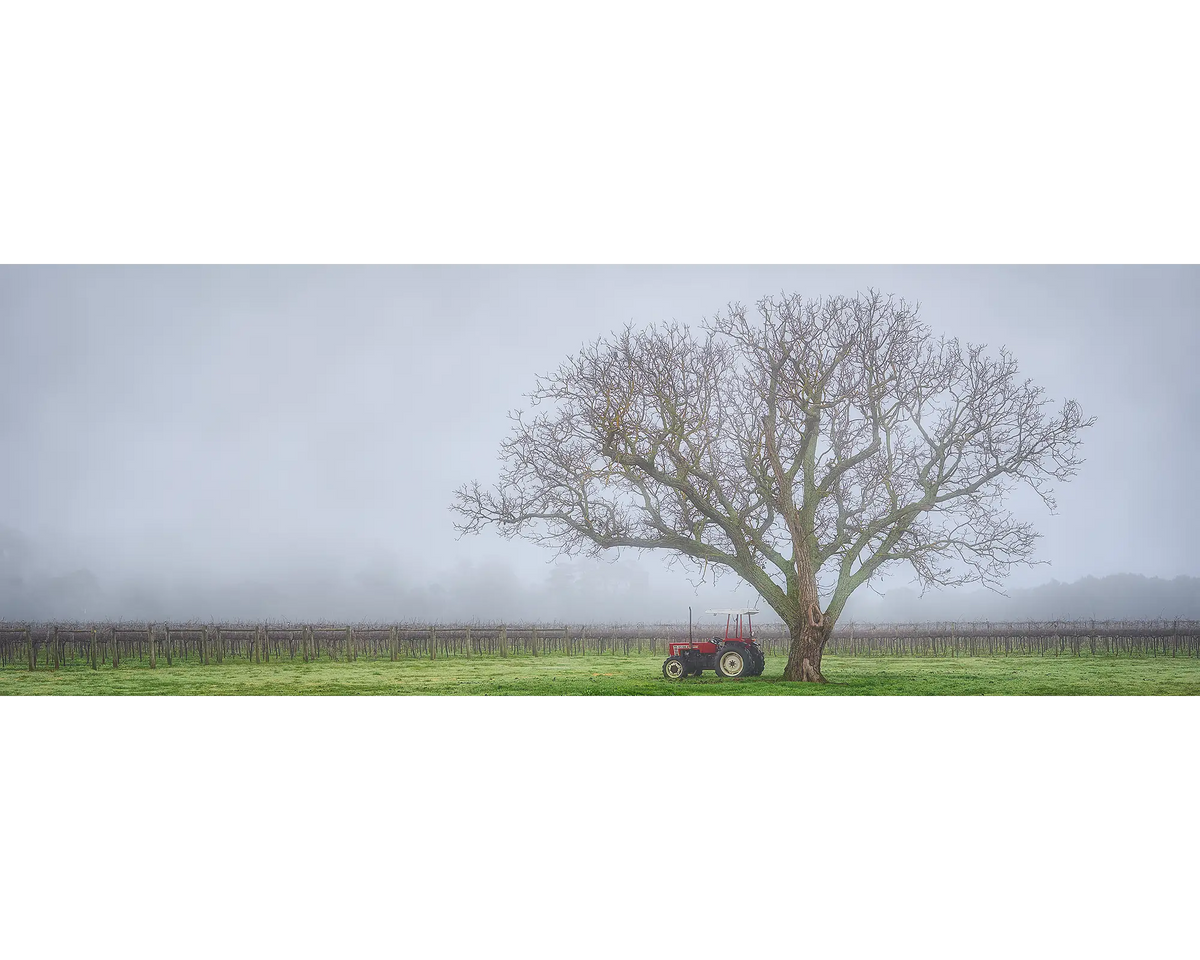 Tractor next to tree amongst vineyard near Bright, Victoria.