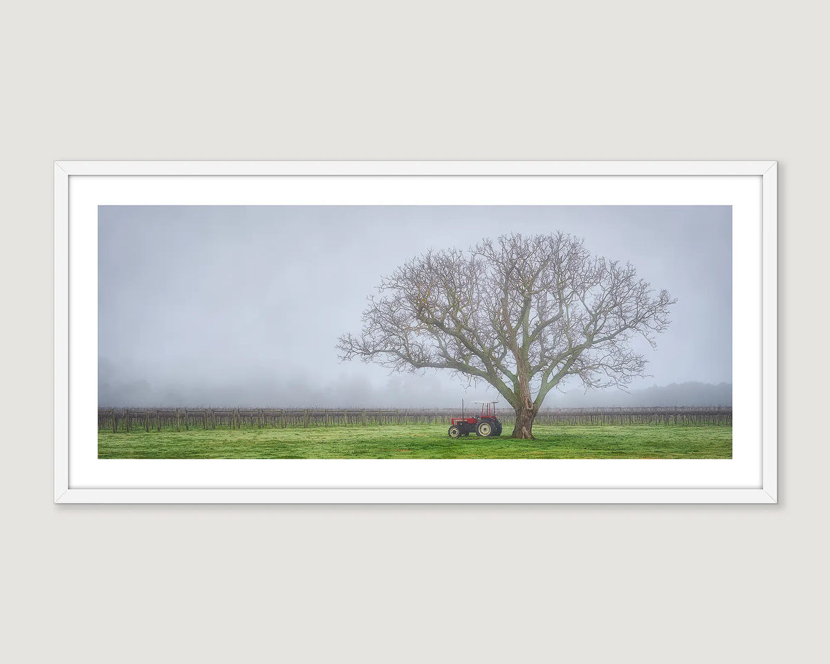 Framed wall art print of a tractor in fog, under a large tree on agricultural land, Alpine Shire. 