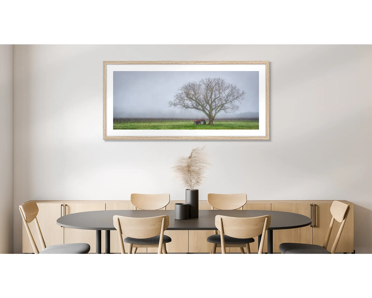 Amongst the Vines. Photographic wall art print of a winery in fog, framed in a timber frame and hung on a dining room wall. 