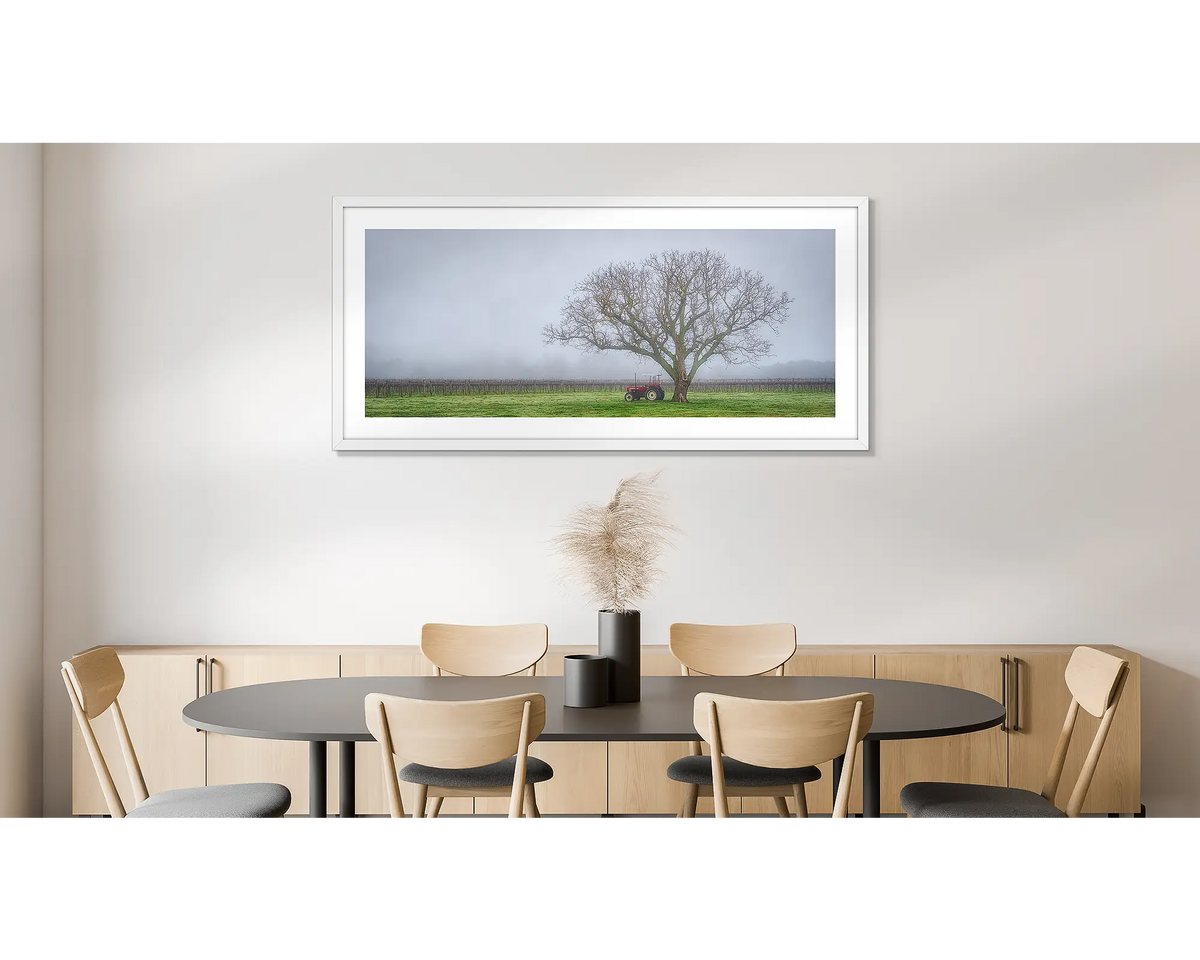 Amongst the Vines. Photographic wall art print of a winery in fog, framed in a white frame and hung on a dining room wall. 