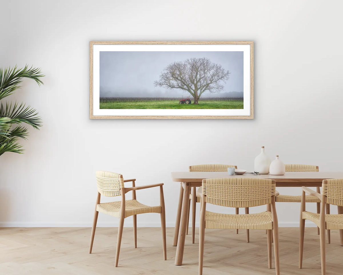 Amongst the Vines. Photographic wall art print of a winery in fog, with a timber frame, hung in a dining room. 
