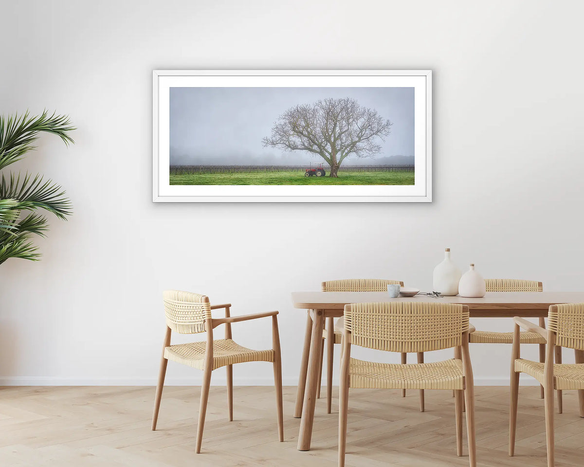 Amongst the Vines. Photographic wall art print of a winery in fog, with a white frame, hung in a dining room. 